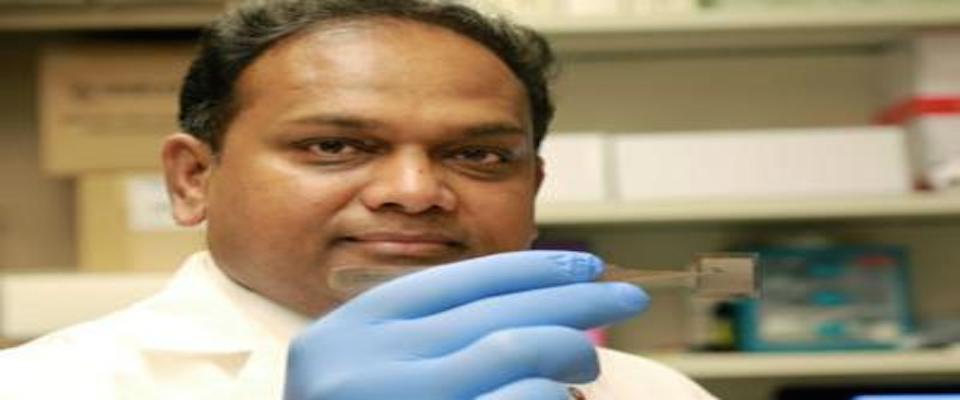 Ed ecco che dagli Usa arriva un chip. Servirà a riparare ferite e organi