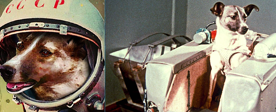 Il mistero di Laika, ennesima vittima innocente del comunismo sovietico