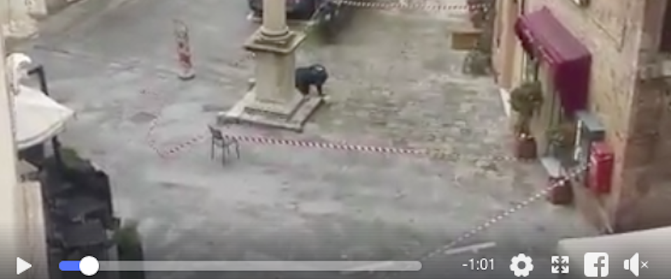 Allarme bomba a Montepulciano: un ordigno ritrovato vicino alla caserma (video)