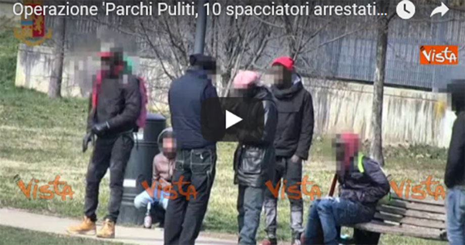 Retata di spacciatori nei parchi di Brescia: tutti immigrati (video)