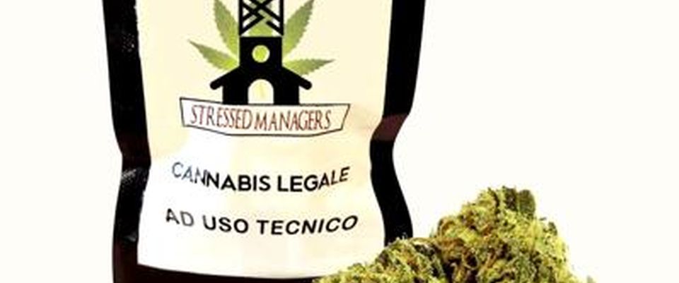 Piadine e tisane alla marijuana come bonus per i dipendenti stressati