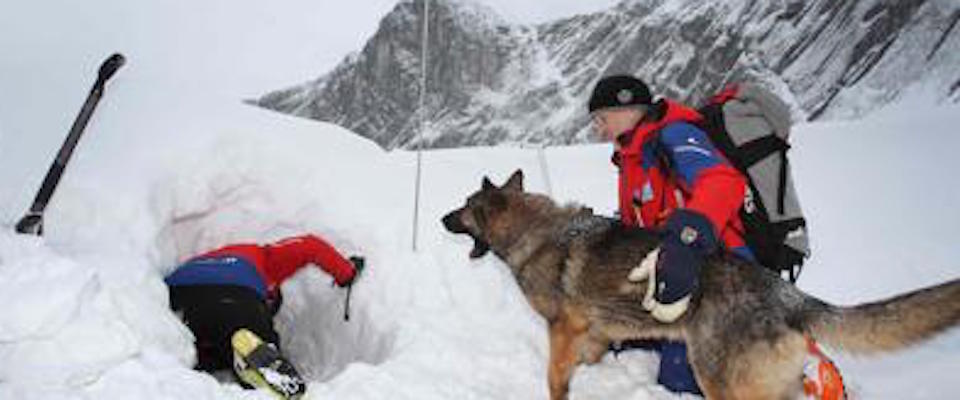Valanga in Val d’Aosta: morti 2 sciatori, 2 estratti vivi dal Soccorso alpino