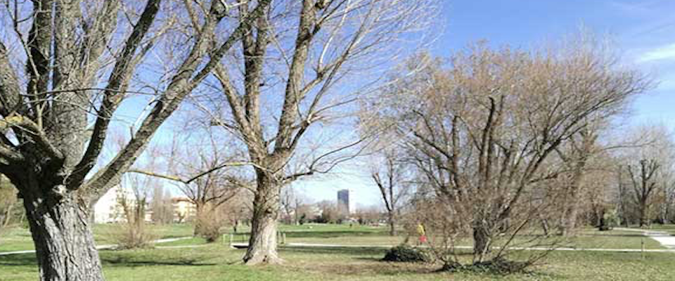 Sequestra madre e figlio in un parco di Rimini. Arrestato un extracomunitario