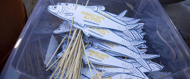 Sardine