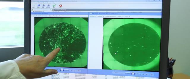 ricerca sulla pandemia del coronavirus foto Ansa