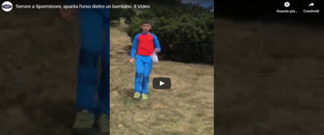 Alle spalle del bambino spunta l'orso, frame da video postato su Youtube