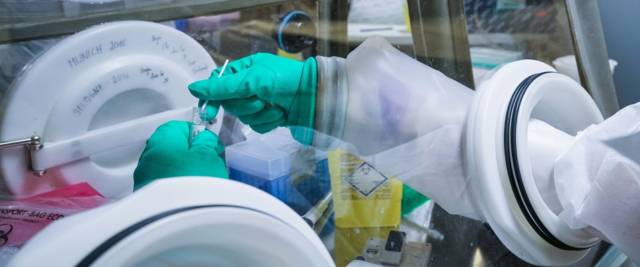 Coronavirus, l'Aifa fa il punto foto Ansa