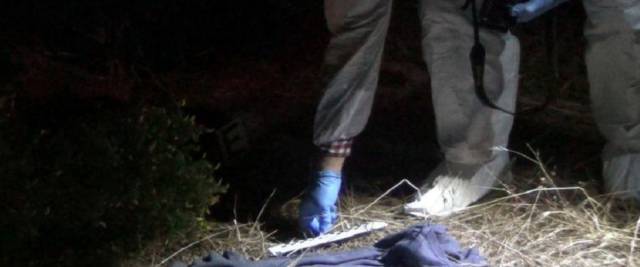 violenza sessuale nell'Alessandrino foto Ansa