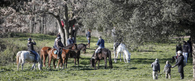 Parco della Caffarella