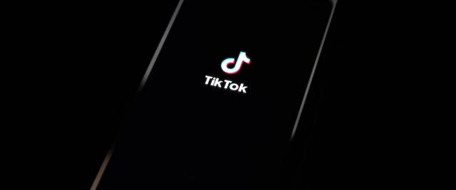 garante privacy tik tok