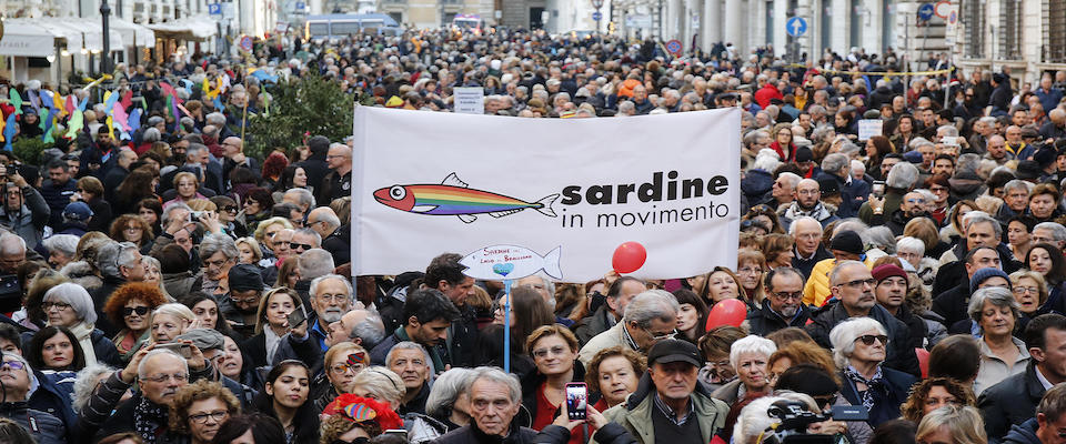 Sardine