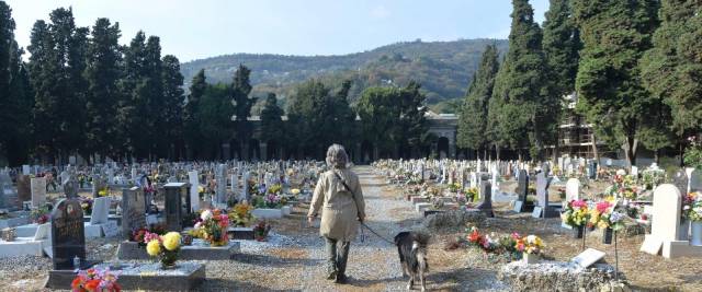 molestie al cimitero