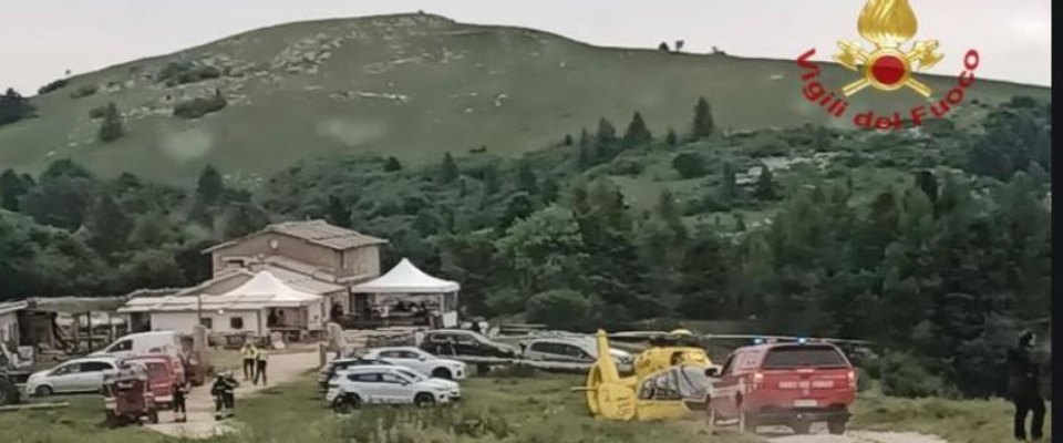 Montagna due bombi morti