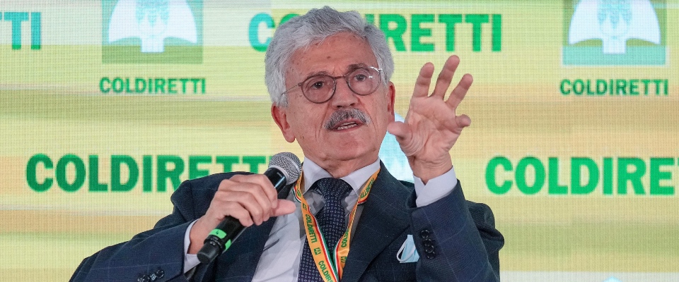 D'Alema