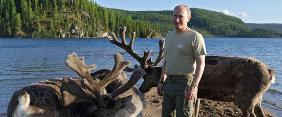 Bagni e bevute di sangue di cervo: la leggenda della cura siberiana di Putin con le “corna d’oro”