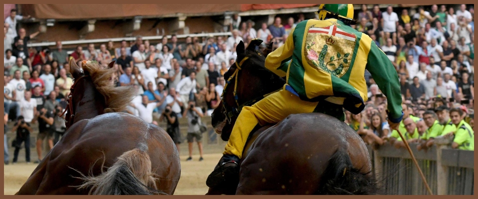 Rai Palio di Siena