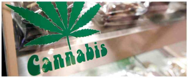 cannabis coltivazione casa