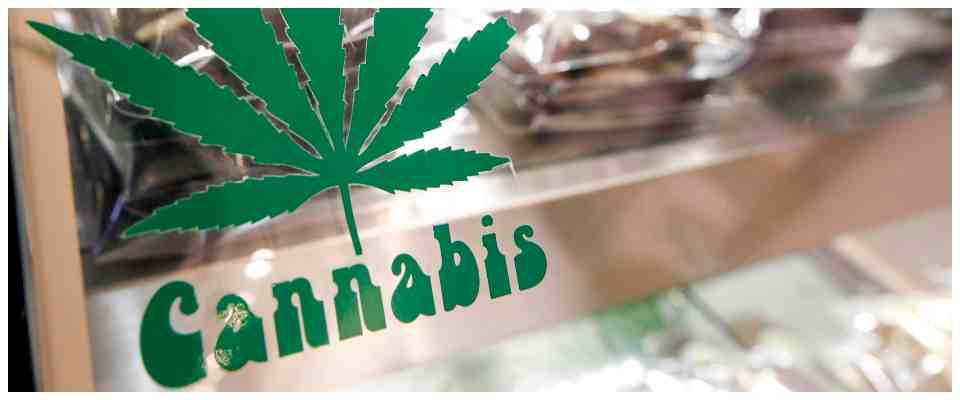 cannabis coltivazione casa