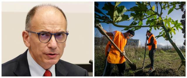 Letta, alberi