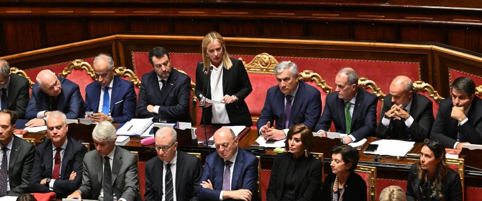 meloni senato