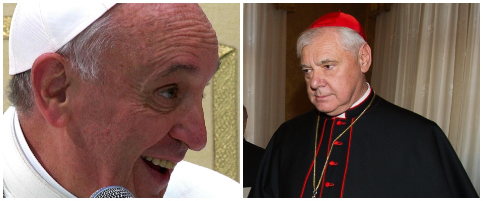 Papa Francesco, cardinale Mueller