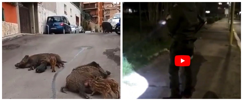 cacciatori del 