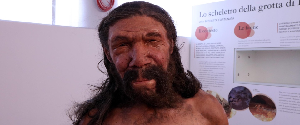 Neanderthal