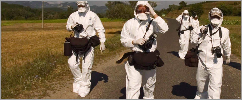 Aviaria, i virologi temono sarà la prossima pandemia: “Fortemente possibile”. Ecco perché