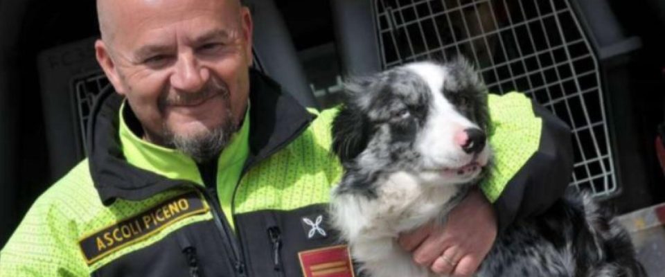 Addio a Galassia, il cane dei vigili del fuoco che fu a Rigopiano e Genova e salvò quattro vite
