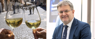 Fidanza vino