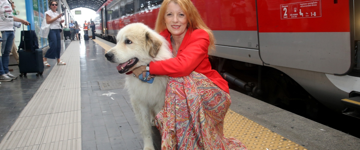 altro che buonisti brambilla la sinistra dice no alla nostra legge che difende gli animali da Secoloditalia.it altro che buonisti brambilla la sinistra dice no alla nostra legge che difende gli animali