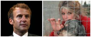 Brigitte Bardot, Macron