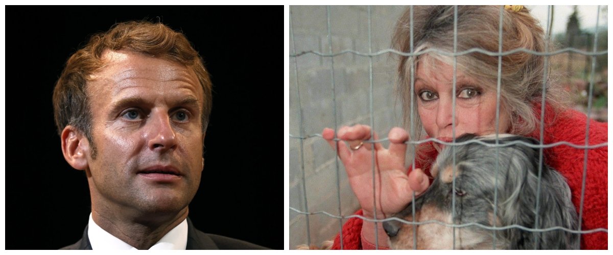 Brigitte Bardot sbrana Macron: “Delusa dalla sua inerzia. Il femminismo non fa per me, a me piacciono gli uomini” (video) Brigitte Bardot sbrana Macron: “Delusa dalla sua inerzia. Il femminismo non fa per me, a me piacciono gli uomini” (video)