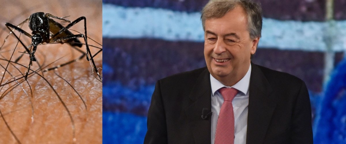 Rieccoci, Burioni in tv tira fuori dalla tasca l’ultimo allarme: altro che squali e leoni, è la zanzara l’animale killer più letale per l’uomo Rieccoci, Burioni in tv tira fuori dalla tasca l’ultimo allarme: altro che squali e leoni, è la zanzara l’animale killer più letale per l’uomo