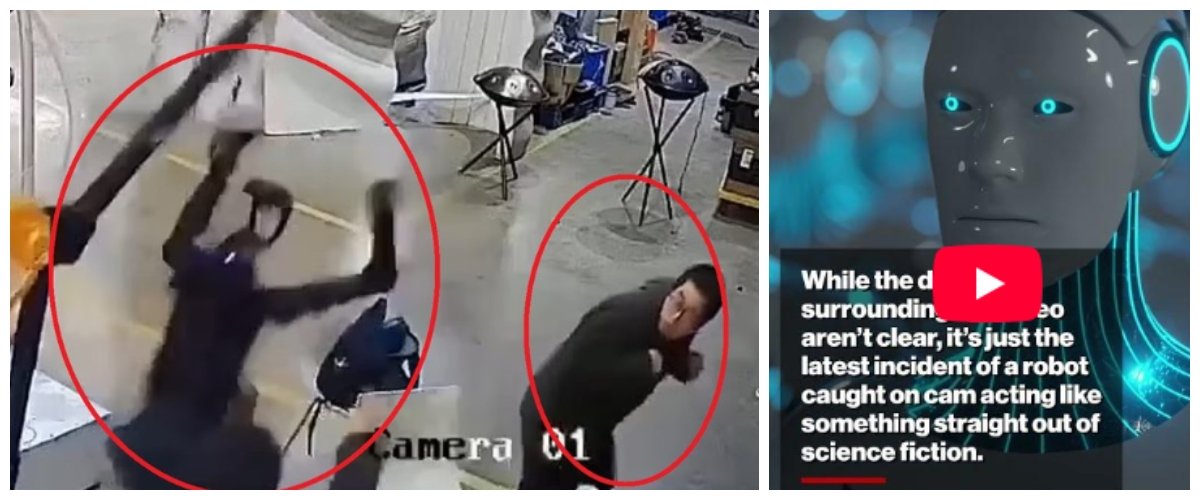Androide ribelle da Secoloditalia.it androide ribelle aggredisce due operai il video da fantascienza dalla cina mentre l esercito di pechino presenta i cani robot