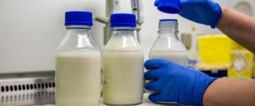 “Corpi estranei nel latte”, quattro marchi ritirati dai supermercati: l’ultima allerta del Ministero della Salute