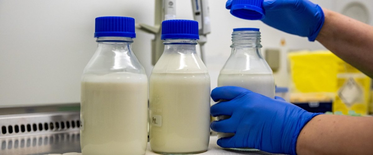 Corpi estranei da Secoloditalia.it corpi estranei nel latte quattro marchi ritirati dai supermercati l ultima allerta del ministero della salute