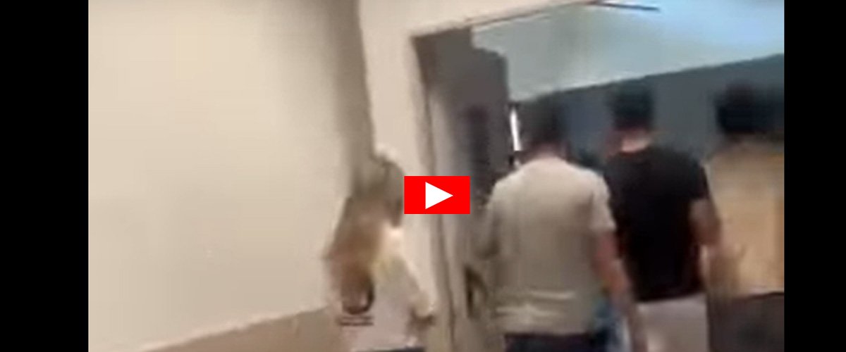 Ex deputato grillino disturba la lezione e insulta un docente universitario. Il video della vergogna Ex deputato grillino disturba la lezione e insulta un docente universitario. Il video della vergogna