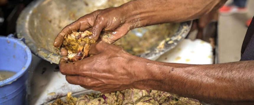 Multe per le “moleste olfattive” da cucine e locali di immigrati: linea dura del sindaco di FdI a Palma Campania Multe per le “moleste olfattive” da cucine e locali di immigrati: linea dura del sindaco di FdI a Palma Campania