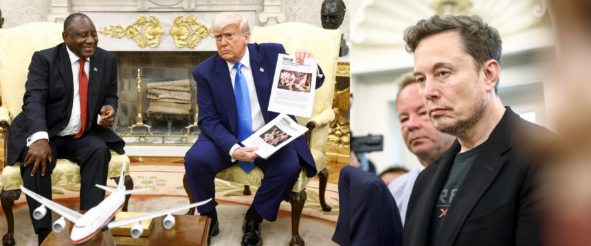 Musk Trump genocidio dei bianchi Musk Trump genocidio dei bianchi