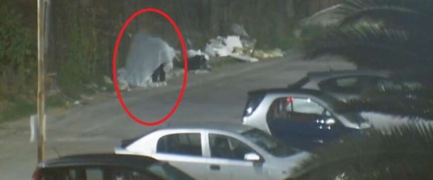 Si veste da fantasma per buttare la spazzatura. Le telecamere lo inchiodano: multato e denunciato (video) Si veste da fantasma per buttare la spazzatura. Le telecamere lo inchiodano: multato e denunciato (video)