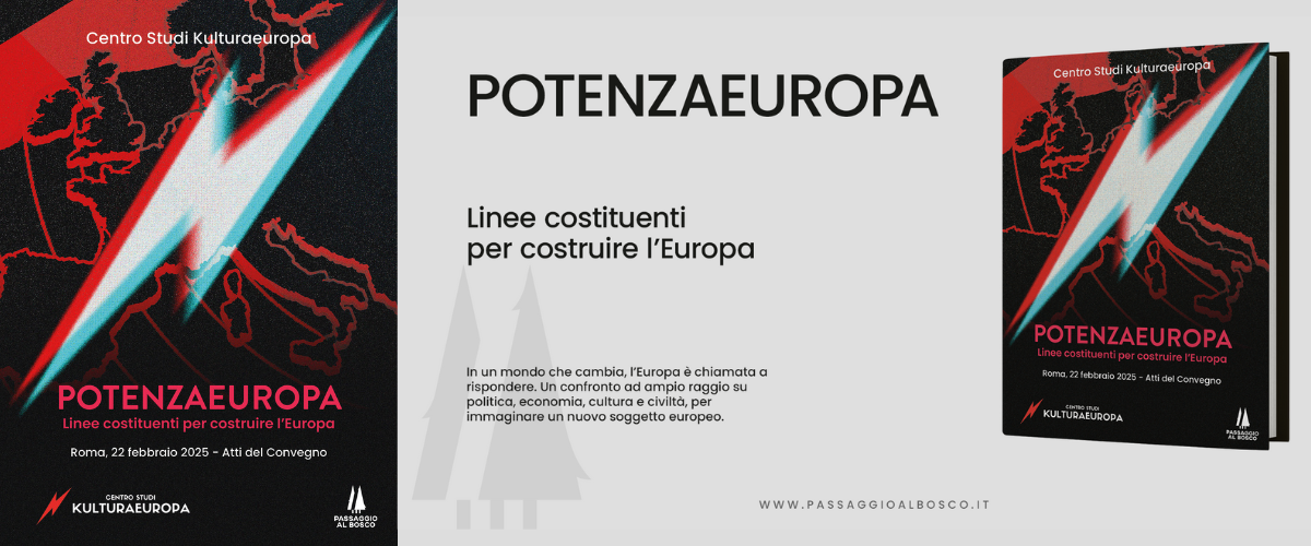 Linee costituenti per un’Europa “potenza”: come superare la crisi sociale, energetica e tecnologica con uno Stato federale Linee costituenti per un’Europa “potenza”: come superare la crisi sociale, energetica e tecnologica con uno Stato federale