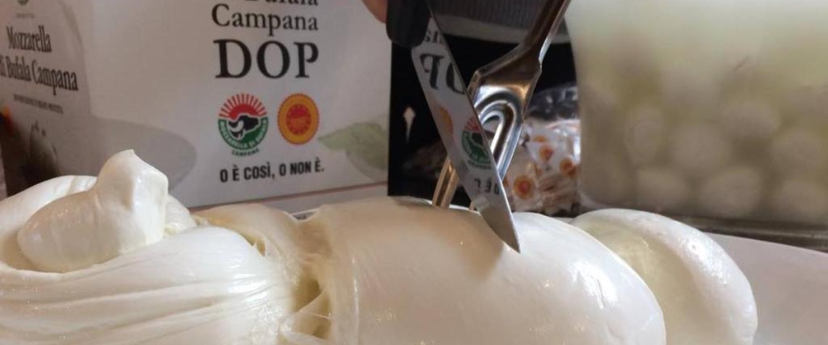 la mozzarella di bufala campana in missione istituzionale in giappone l8217export dell oro bianco