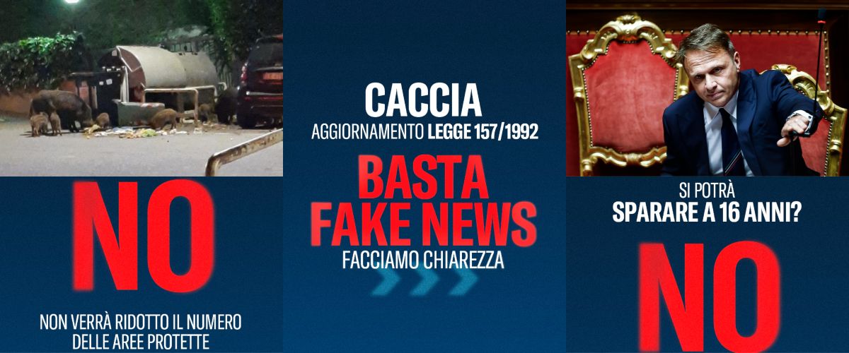legge sulla caccia sbugiardati allarmi e fake news ecco l8217operazione verit224 in sette punti