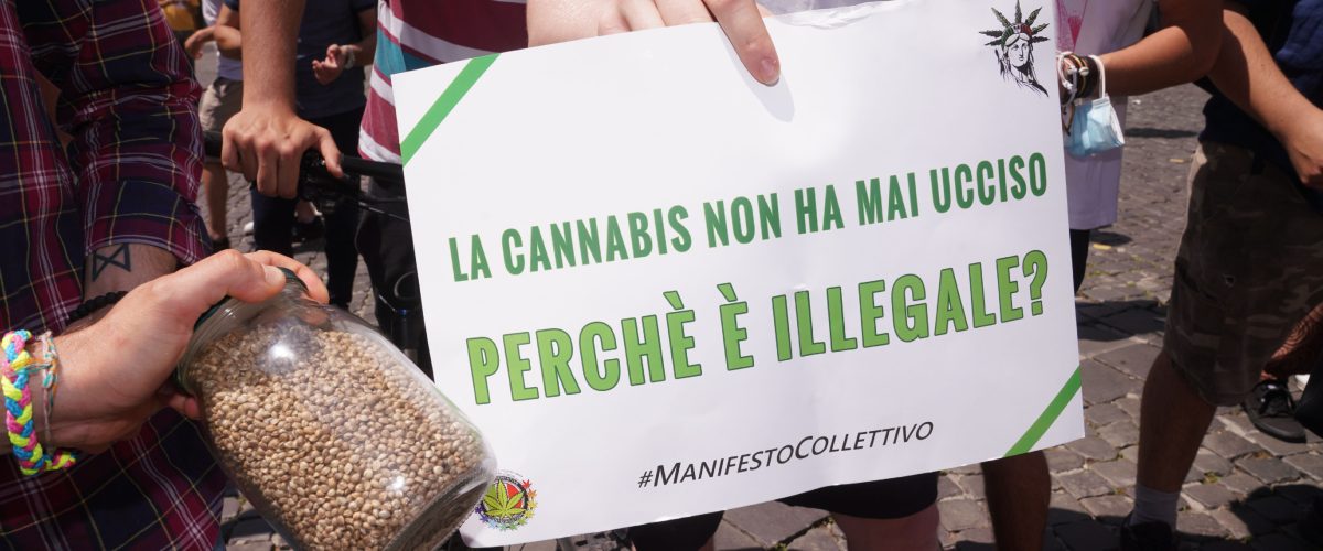 «La cannabis aumenta sensibilmente il rischio di infarto e ictus, anche nei giovani»: lo studio sui dati di 200 milioni di pazienti «La cannabis aumenta sensibilmente il rischio di infarto e ictus, anche nei giovani»: lo studio sui dati di 200 milioni di pazienti