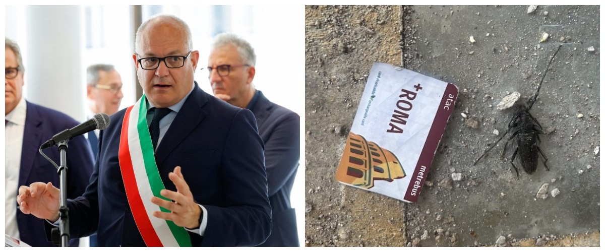 Gualtieri fa l’infuencer, ma a Roma serve un disinfestatore: invasione di blatte volanti in molti quartieri