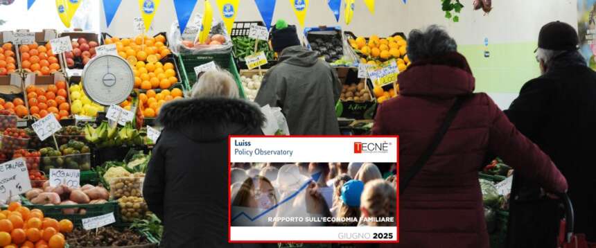 Il “Rapporto sull’economia familiare” Luiss-Tecnè Il “Rapporto sull’economia familiare” Luiss-Tecnè