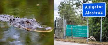 Due italiani detenuti in “Alligator Alcatraz” negli Usa, la prigione circondata dai rettili voluta da Trump