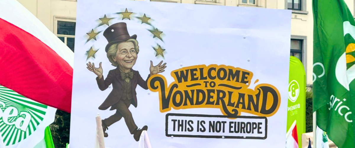 Tagli all’agricoltura, esplode la rabbia: “È guerra”. Lollobrigida a Von der Leyen: “Un piano non all’altezza” Tagli all’agricoltura, esplode la rabbia: “È guerra”. Lollobrigida a Von der Leyen: “Un piano non all’altezza”
