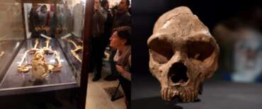 Uno studio ha ricostruito il Dna di 214 germi preistorici e mappato 37mila anni di malattie
